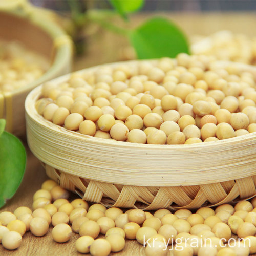 도매 농산물 고품질 콩